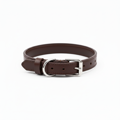 Variant 1 – Dark Brown leather dog collar with gold hardware