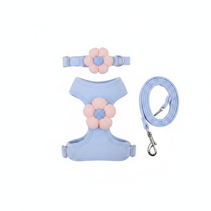 Flat lay of complete cat harness set including collar, harness and leash in light blue