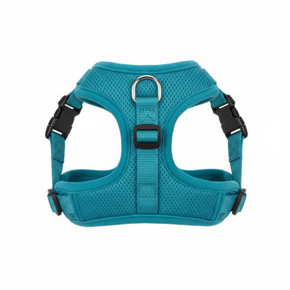 Variant 2 – Teal Blue padded mesh dog step-in harness, flat lay
