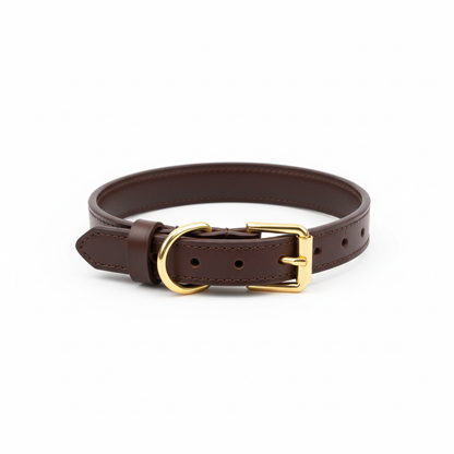Genuine leather dog collar in dark brown with gold hardware, circular display